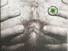 Type O Negative – The Origin Of The Feces (Not Live At Brighton Beach), Vinyl