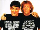 DUMB AND DUMBER Original Motion Picture Soundtrack LP VINYL USA Src 2014 13