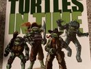 Teenage Mutant Ninja Turtles In Time Vinyl Record Soundtrack NES Not Moonshake