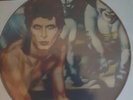 David Bowie Diamond Dogs PICTURE DISC LP RARE NO 6209 NEW