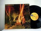 ECHO and THE BUNNYMEN LP Crocodiles 1980 Sire   vinyl