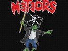 METEORS-SKULL N BONES (GREEN VINYL) (GRN) (US IMPORT) VINYL LP NEW