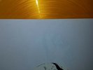 SHANNON AND THE CLAMS Sleep Talk [1st Press, Gold Color Vinyl LP] FREE SHIPPING
