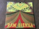 SAVOY BROWN RAW SIENNA PARROT 1970 WADDELL PRESSING EXCELLENT