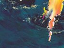 The Avalanches - Since I Left You (Definitive Edition) Vinyl 4LP NEU 09548948