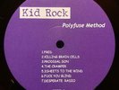 Kid Rock - Polyfuze Method (LP) LTD RARE VINYL Linkin Park Dr. Dre Beastie Boys