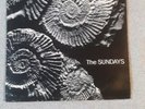 The Sundays Reading Writing & Arithmetic Vinyl LP 1990 first press Rough148