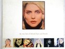 Blondie/Debbie Harry the Complete Picture Best Of Double LP Vinyl