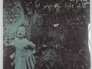 SOUL ASYLUM Let Your Dim Light Shine COLUMBIA C-57616 LP SEALED #