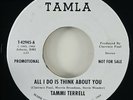 Tammi Terrell/Brenda Holloway 