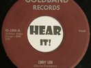 Wild Raucous LA Rocker 45 GENE TERRY Cindy Lou GOLDBAND raw rockabilly HEAR