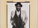 MUDDY WATERS: Hard Again US Friday Music 2010 Audiophile 180g LP Blues Vinyl
