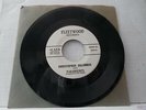 PARAMOUNTS - FLEETWOOD RECORDS-1014 - VG++