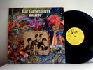 FLAT EARTH SOCIETY LP Waleeco 1968 Fleetwood Records Original  rare psych vinyl