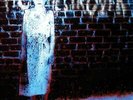 PIG DESTROYER - BOOK BURNER NEW VINYL