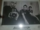 Beastie Boys  Swiss Cheese 2LP Gatefold