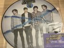 Rare 5 Seconds of Summer Special Edition Picture Vinyl 2014 Capitol Records