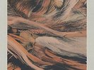 MYTHIC SUNSHIP-WILDFIRE VINYL LP NEW