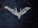Dark Knight Rises (180g/Flaming Colored Vinyl)