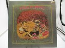 MEAT PUPPETS Self Titled LP SST009, 1982 Lyrics NM c VG/VG+ Ultrasonically Clean