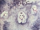 DUSTY SPRINGFIELD - See All Her Faces - VINYL LP - Original 1971 DUTCH Issue EX