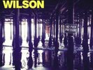 BRIAN WILSON: NO PIER PRESSURE (LP vinyl *BRAND NEW*.)