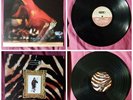 Prodigy - Firestarter Molotov Bitch XLT 70 Smack My Bitch Up No Man Army XLT 90