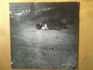 Naked City - John Zorn / Fred Frith / Bill Frisell - Vinyl LP - 1990 Rarität