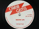 Roots Reggae 45 - Michael Rose - Observe Life - Carib Gems UK - VG+ mp3