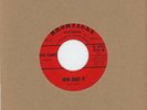 DELTA FLAMES   How Bout It   1964 NASHVILLE   BOSS COUNTRY ROCKER   45 HEAR