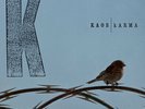 Kaos - Karma Vinyl 2LP NEU 09542603