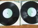 THE PROMISE RING..WOOD/WATER..RARE GATEFOLD LIMITED ED  2 X 10