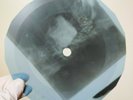 BEATLES YES IT IS X-Ray USSR Record Roentgen Bones Ribs Music Vinyl