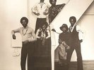 RIMSHOTS - Down To Earth - Vinyl (LP)