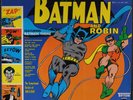 SENSATIONAL GUITARS OF DAN & DALE: batman and robin TIFTON 12