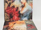 2 X ENYA / CLANNAD Vinyl LPs Inc: 'Watermark' & 'Pastpresent' - Y96
