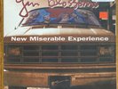 Gin Blossoms New Miserable Experience SRC audiophile clear double vinyl 45 rpm