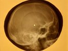 Contours - Do You Love Me X-RAY OF THE USSR X-RAY BONES RECORD