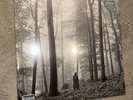 Taylor Swift - folklore FIRST PRESS In The Trees Vinyl LP Beige Record SEE DEETS