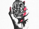 The Mystery Lights [VINYL]