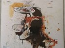 PETER DOHERTY 'Grace/Wastelands' Lp 2009 UK 1st Pressing As New Sealed MINT