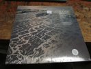 FLEET FOXES Shore 2xLP sealed CLEAR VINYL Etched 2021 Record FOLK ROCK Indie NEW