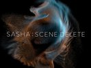 Late Night Tales presents Sasha Scene Delete [Triple Vinyl]