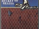 Flamin' Groovies A Bucket Of Brains Black Vinyl 10