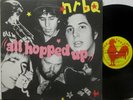 NRBQ - ALL HOPPED UP - BLUES ROCK / ROCK N ROLL / DOO WOP - NM VINYL