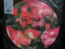 RIVAL SCHOOLS : “Pedals” Picture Disc Color Vinyl 12” LP NEW Quicksand /500