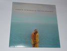 Andrew McMahon in the Wilderness  Vinyl - LP (Jacks Mannequin)