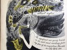 Lp  Debut Albert Ayler Spirits Deb 146