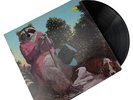 J.J. Cale Naturally LP Vinyl Record 01825