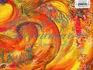 John Zorn - A Dreamers Fantabula (Vinyl LP - 2019 - US - Original)